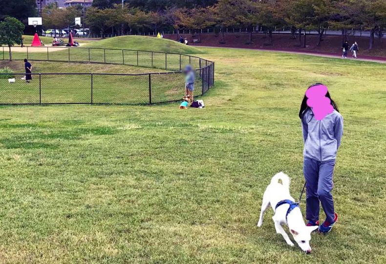 垂水健康公園 犬の大ちゃんといく神戸垂水カフェ巡り
