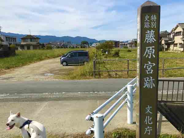 藤原宮跡 ペット同伴