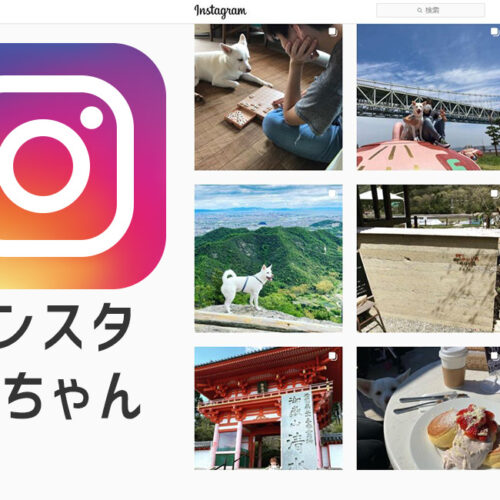 犬の大ちゃんといく神戸 垂水のカフェ巡り