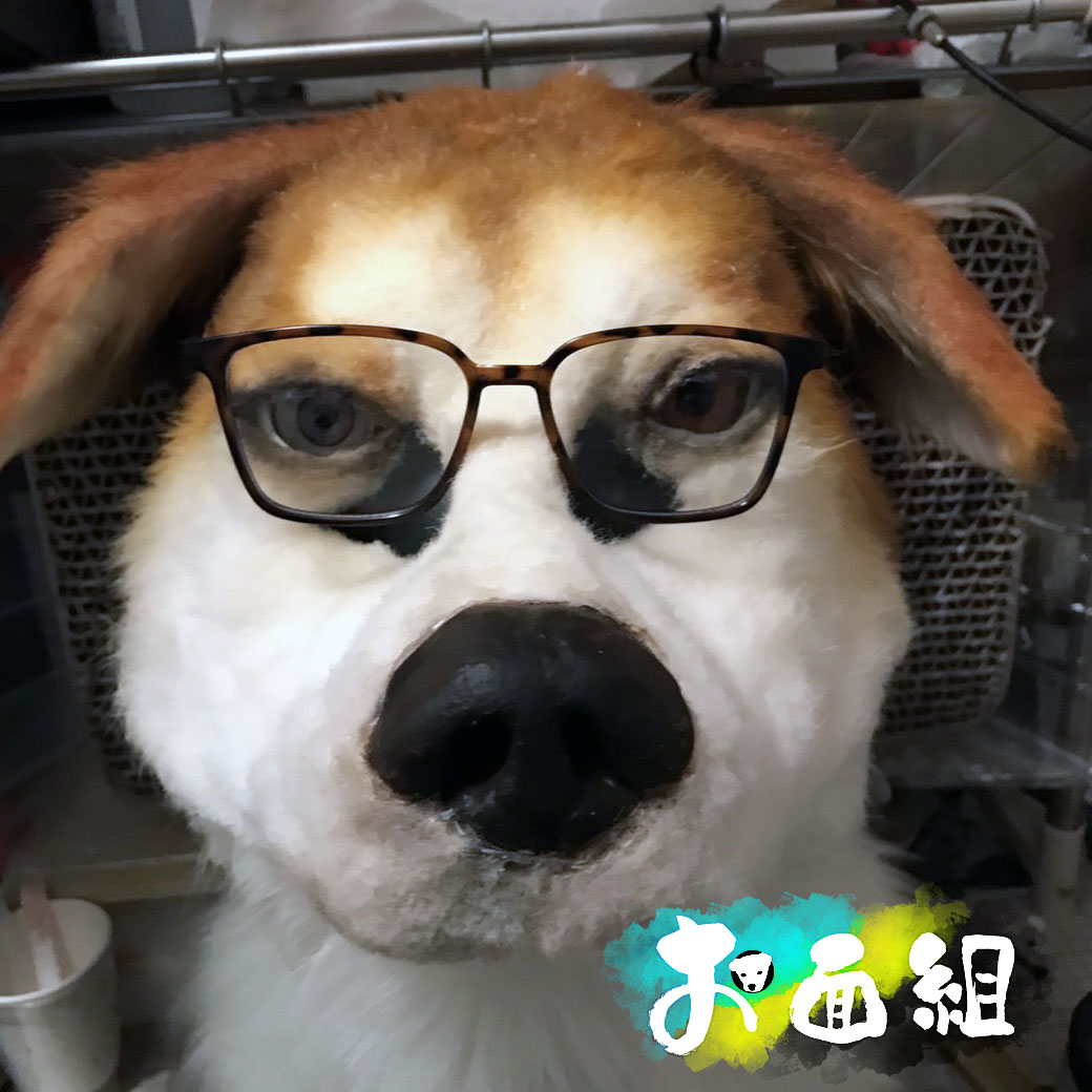 犬のお面つくっています 犬の大ちゃんといく神戸垂水カフェ巡り